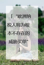 “欧洲纳税人将为根本不存在的威胁买单”
