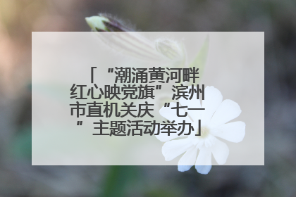 “潮涌黄河畔 红心映党旗”滨州市直机关庆“七一”主题活动举办