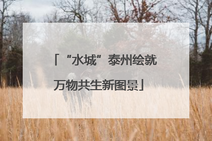 “水城”泰州绘就万物共生新图景