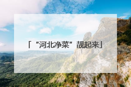 “河北净菜”靓起来