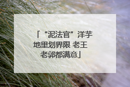 “泥法官”洋芋地里划界限 老王老郭都满意