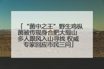 “菌中之王”野生鸡枞菌被传现身合肥大蜀山 多人跟风入山寻找 权威专家回应市民三问