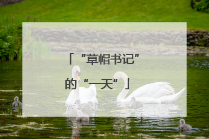 “草帽书记”的“一天”