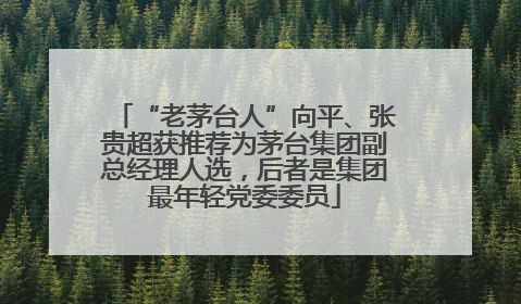 “老茅台人”向平、张贵超获推荐为茅台集团副总经理人选，后者是集团最年轻党委委员