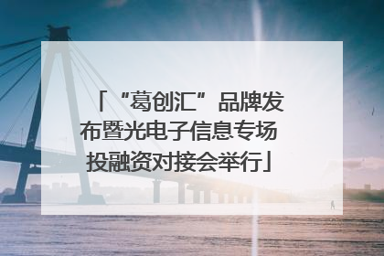 “葛创汇”品牌发布暨光电子信息专场投融资对接会举行