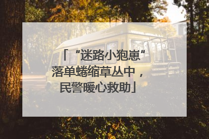 “迷路小狍崽”落单蜷缩草丛中，民警暖心救助