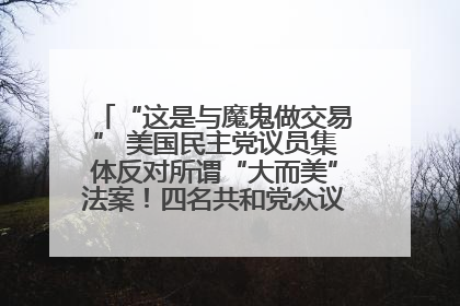 “这是与魔鬼做交易” 美国民主党议员集体反对所谓“大而美”法案！四名共和党众议员投反对票
