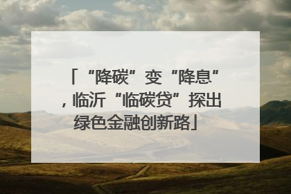 “降碳”变“降息”，临沂“临碳贷”探出绿色金融创新路