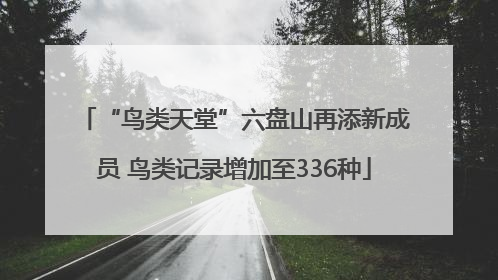 “鸟类天堂”六盘山再添新成员 鸟类记录增加至336种