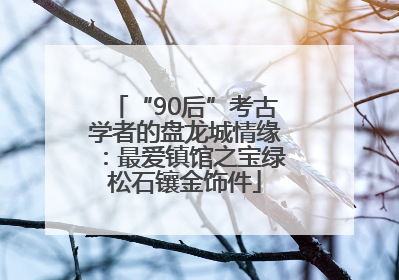 “90后”考古学者的盘龙城情缘：最爱镇馆之宝绿松石镶金饰件
