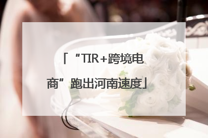 “TIR+跨境电商”跑出河南速度