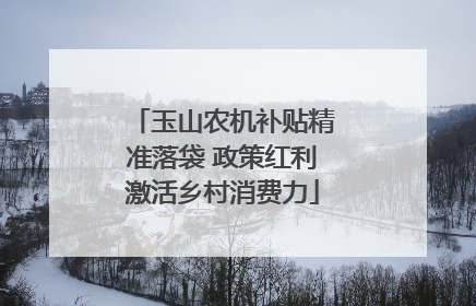 玉山农机补贴精准落袋 政策红利激活乡村消费力
