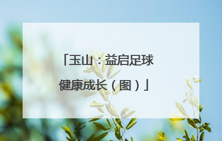 玉山：益启足球 健康成长（图）