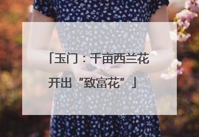 玉门：千亩西兰花开出“致富花”