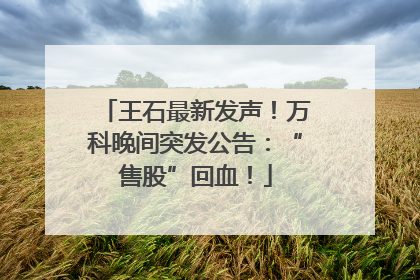 王石最新发声！万科晚间突发公告：“售股”回血！