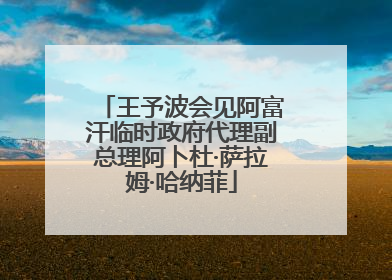 王予波会见阿富汗临时政府代理副总理阿卜杜·萨拉姆·哈纳菲
