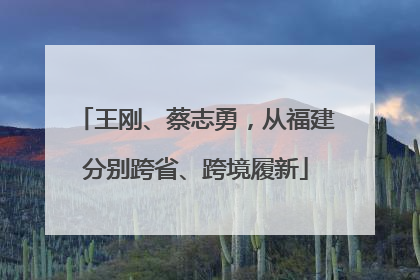 王刚、蔡志勇，从福建分别跨省、跨境履新