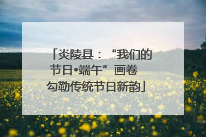 炎陵县：“我们的节日•端午”画卷 勾勒传统节日新韵