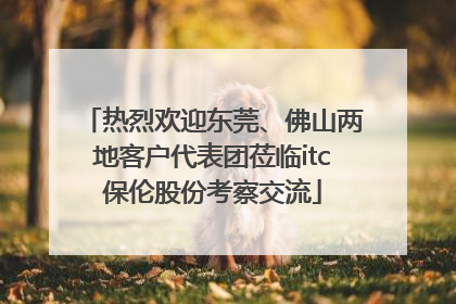 热烈欢迎东莞、佛山两地客户代表团莅临itc保伦股份考察交流