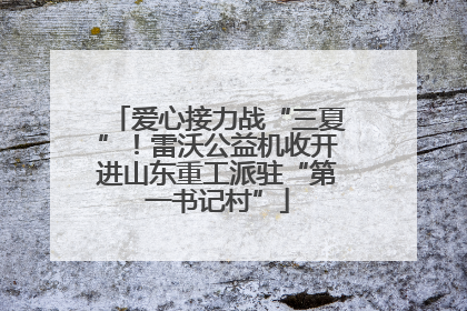 爱心接力战“三夏”！雷沃公益机收开进山东重工派驻“第一书记村”