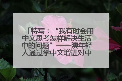 特写：“我有时会用中文思考怎样解决生活中的问题”——澳年轻人通过学中文增进对中华文化的理解