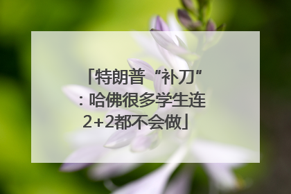 特朗普“补刀”：哈佛很多学生连2+2都不会做