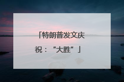 特朗普发文庆祝：“大胜”