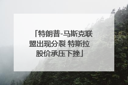 特朗普-马斯克联盟出现分裂 特斯拉股价承压下挫