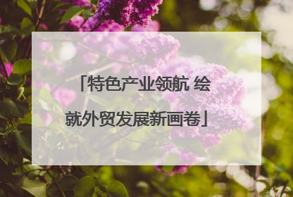 特色产业领航 绘就外贸发展新画卷