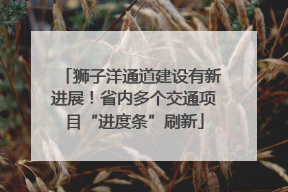 狮子洋通道建设有新进展！省内多个交通项目“进度条”刷新