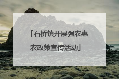 石桥镇开展强农惠农政策宣传活动