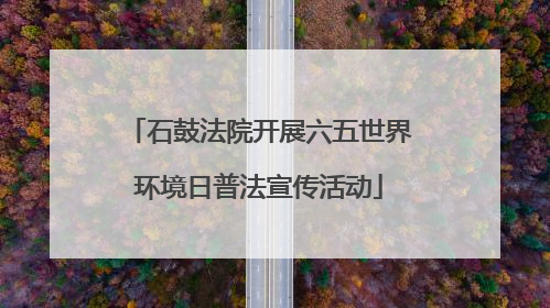 石鼓法院开展六五世界环境日普法宣传活动
