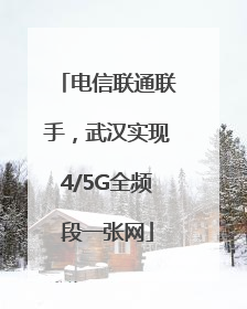 电信联通联手，武汉实现4/5G全频段一张网