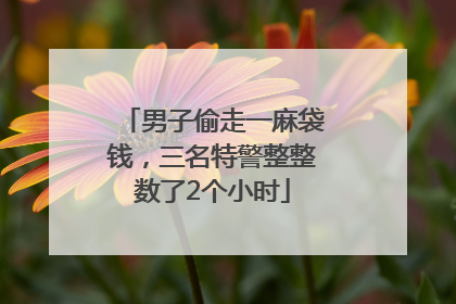 男子偷走一麻袋钱，三名特警整整数了2个小时