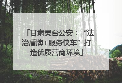 甘肃灵台公安：“法治盾牌+服务快车”打造优质营商环境