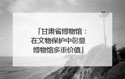 甘肃省博物馆：在文物保护中彰显博物馆多重价值
