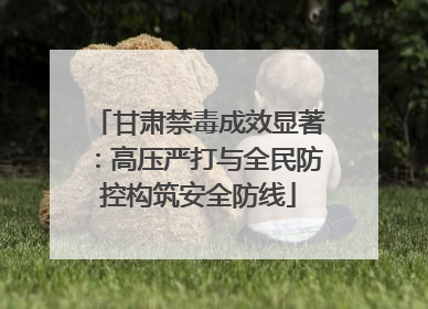 甘肃禁毒成效显著：高压严打与全民防控构筑安全防线