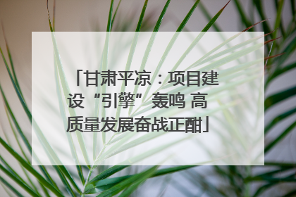 甘肃平凉：项目建设“引擎”轰鸣 高质量发展奋战正酣