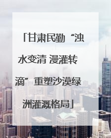 甘肃民勤“浊水变清 漫灌转滴”重塑沙漠绿洲灌溉格局