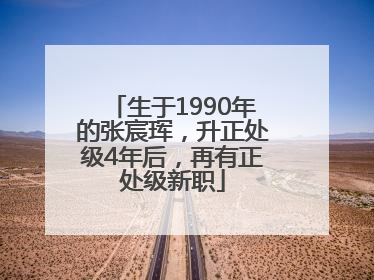 生于1990年的张宸珲，升正处级4年后，再有正处级新职