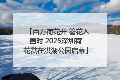 百万荷花开 簪花入画时 2025深圳荷花赏在洪湖公园启幕