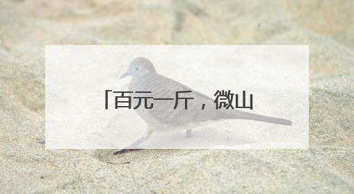 百元一斤，微山湖小龙虾啥来头