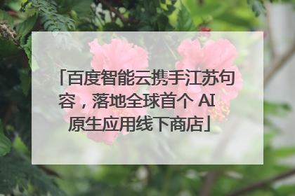 百度智能云携手江苏句容，落地全球首个 AI 原生应用线下商店