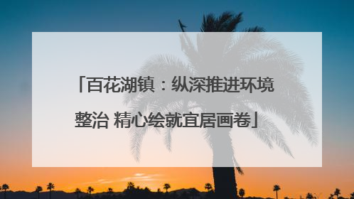 百花湖镇：纵深推进环境整治 精心绘就宜居画卷