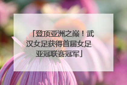 登顶亚洲之巅！武汉女足获得首届女足亚冠联赛冠军