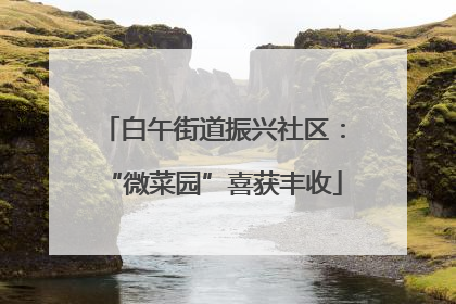 白午街道振兴社区：“微菜园”喜获丰收