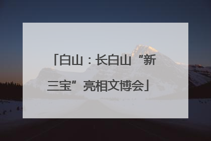 白山：长白山“新三宝”亮相文博会
