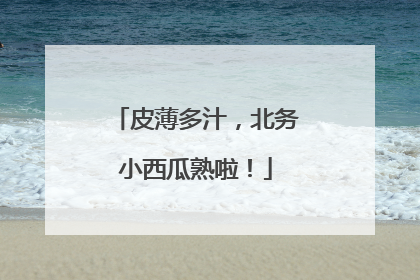 皮薄多汁，北务小西瓜熟啦！