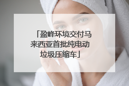 盈峰环境交付马来西亚首批纯电动垃圾压缩车