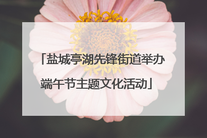 盐城亭湖先锋街道举办端午节主题文化活动